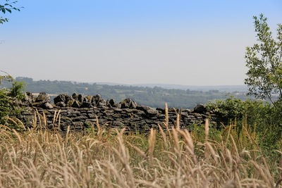 Image credit: Google Places
