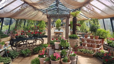 Image credit: Google Places