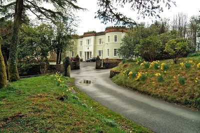 Image credit: Google Places
