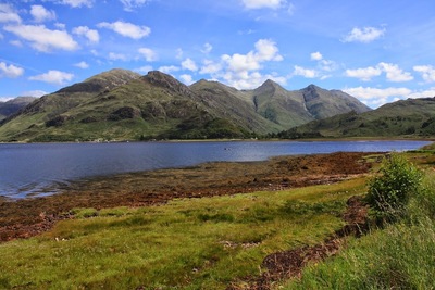 Image credit: Google Places