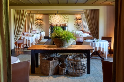 Fernery at the Grove of Narberth