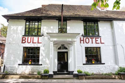 The Bull