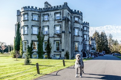 The O'Connell Restaurant at Ballyseede Castle