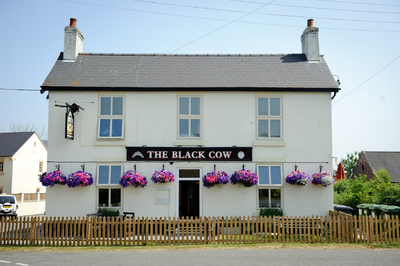 The Black Cow