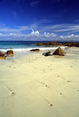 Image credit: Google Places
