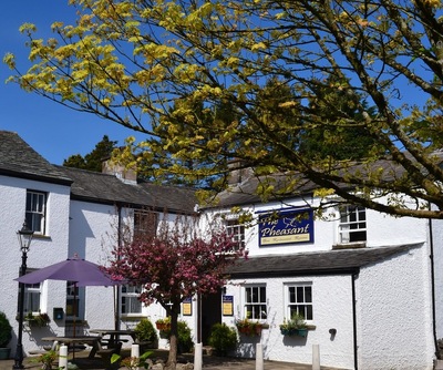 The Pheasant