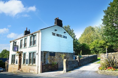 The White Swan