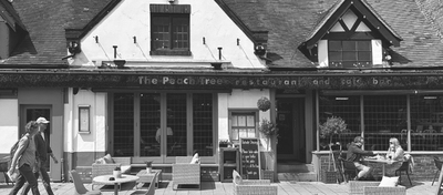 The Peach Tree