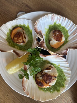 The Scallop Shell