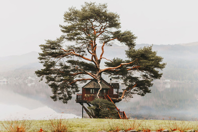 Image credit: Google Places