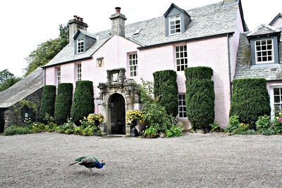 Image credit: Google Places