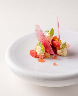 Frog by Adam Handling