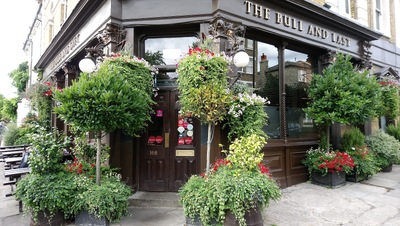 The Bull and Last