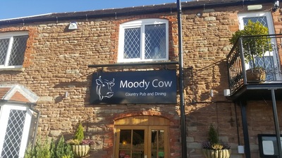 Moody Cow