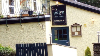 Y Polyn