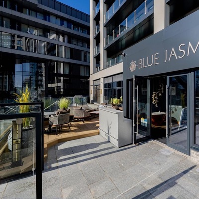Blue Jasmine