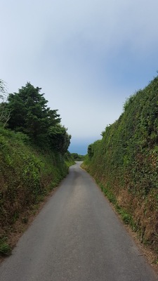 Image credit: Google Places