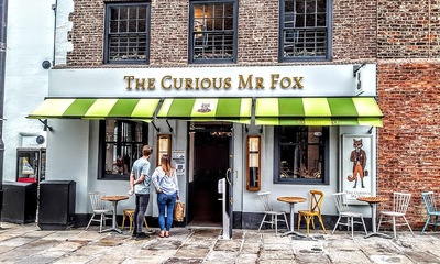 The Curious Mr Fox