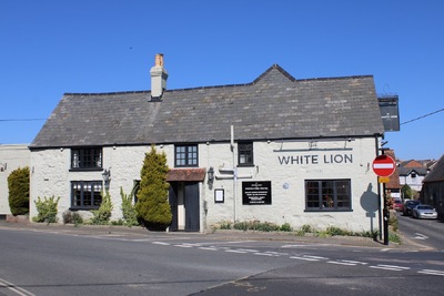 The White Lion