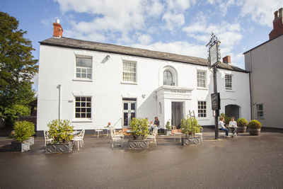 The Swan