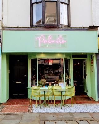Palmito