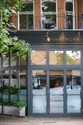 Hawthorn