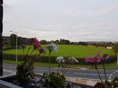 The Cottage Restaurant at Ternhill Farm House