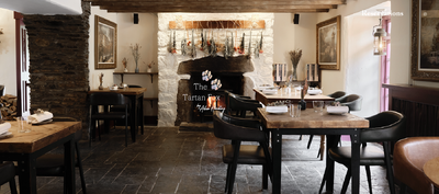 The Tartan Fox by Adam Handling