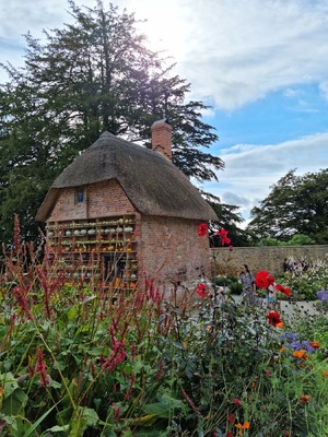 The Botanical Rooms at The Newt In Somerset