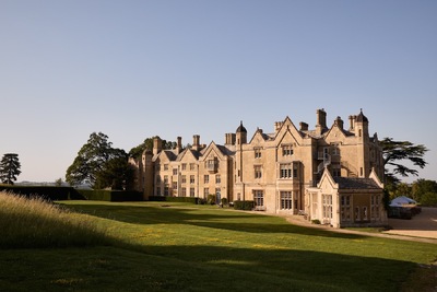 Cedar 1905 at Dumbleton Hall