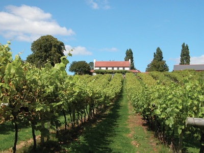 Three Choirs Vineyards